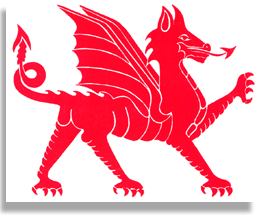 Welsh Griffin